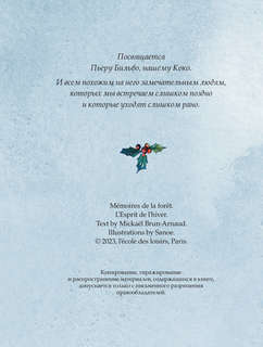 Записки из Зелёного Бора. По следам Духа Зимы 6