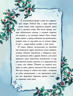 Записки из Зелёного Бора. По следам Духа Зимы 7