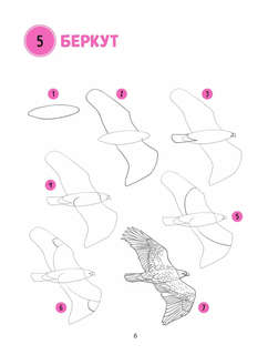 Большая книга животных. 300 рисунков шаг за шагом 11