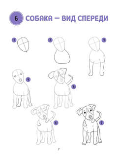 Большая книга животных. 300 рисунков шаг за шагом 12