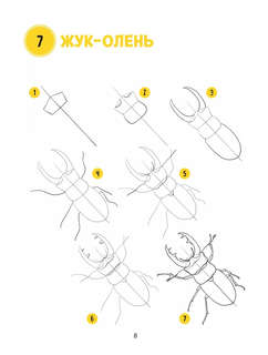 Большая книга животных. 300 рисунков шаг за шагом 13