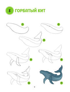 Большая книга животных. 300 рисунков шаг за шагом 14