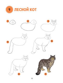 Большая книга животных. 300 рисунков шаг за шагом 15