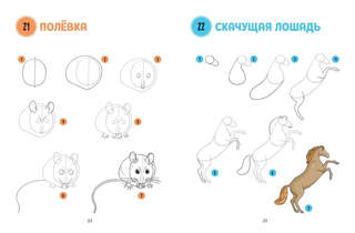 Большая книга животных. 300 рисунков шаг за шагом 3