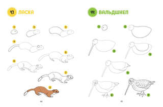 Большая книга животных. 300 рисунков шаг за шагом 4