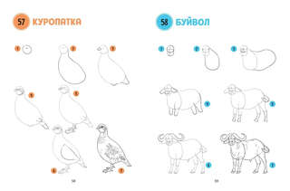 Большая книга животных. 300 рисунков шаг за шагом 5