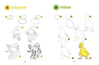 Большая книга животных. 300 рисунков шаг за шагом 7