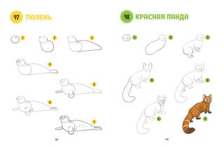 Большая книга животных. 300 рисунков шаг за шагом 8
