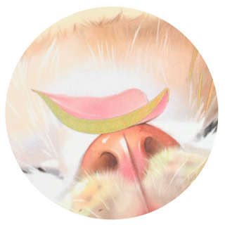 Анкета для друзей 'Цветочный кот' А5, 128 листов 13