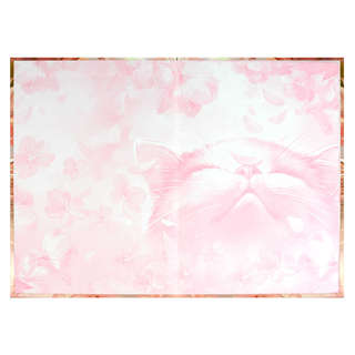 Анкета для друзей 'Цветочный кот' А5, 128 листов 3