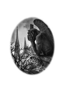 Нэнси Дрю и тайна 99 ступеней 3