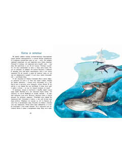 Как я стал путешественником. Сборник рассказов 9