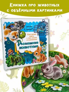 Домашние животные, книга-театр с поп-апами и клапанами 3
