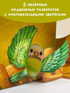 Домашние животные, книга-театр с поп-апами и клапанами 4