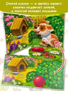 Домашние животные, книга-театр с поп-апами и клапанами 5