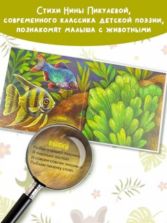 Домашние животные, книга-театр с поп-апами и клапанами 7