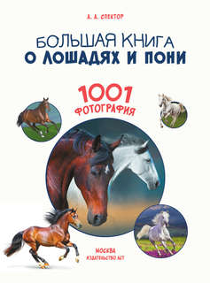 Большая книга о лошадях и пони. 1001 фотография 3