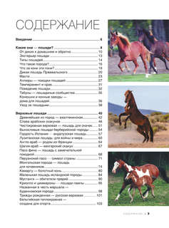 Большая книга о лошадях и пони. 1001 фотография 4