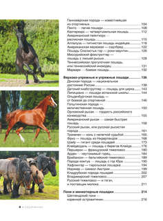 Большая книга о лошадях и пони. 1001 фотография 5