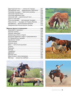 Большая книга о лошадях и пони. 1001 фотография 6