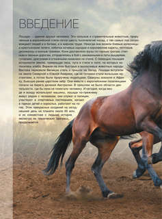 Большая книга о лошадях и пони. 1001 фотография 7