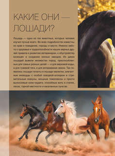 Большая книга о лошадях и пони. 1001 фотография 9
