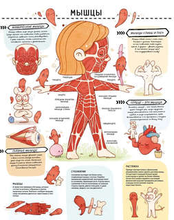 Книга с секретами. Секреты тела человека 4