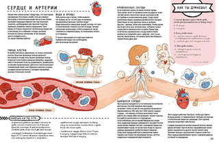 Книга с секретами. Секреты тела человека 6
