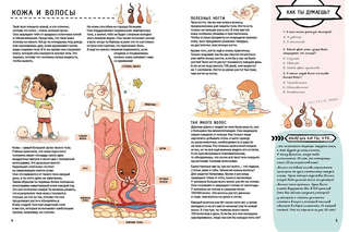 Книга с секретами. Секреты тела человека 7