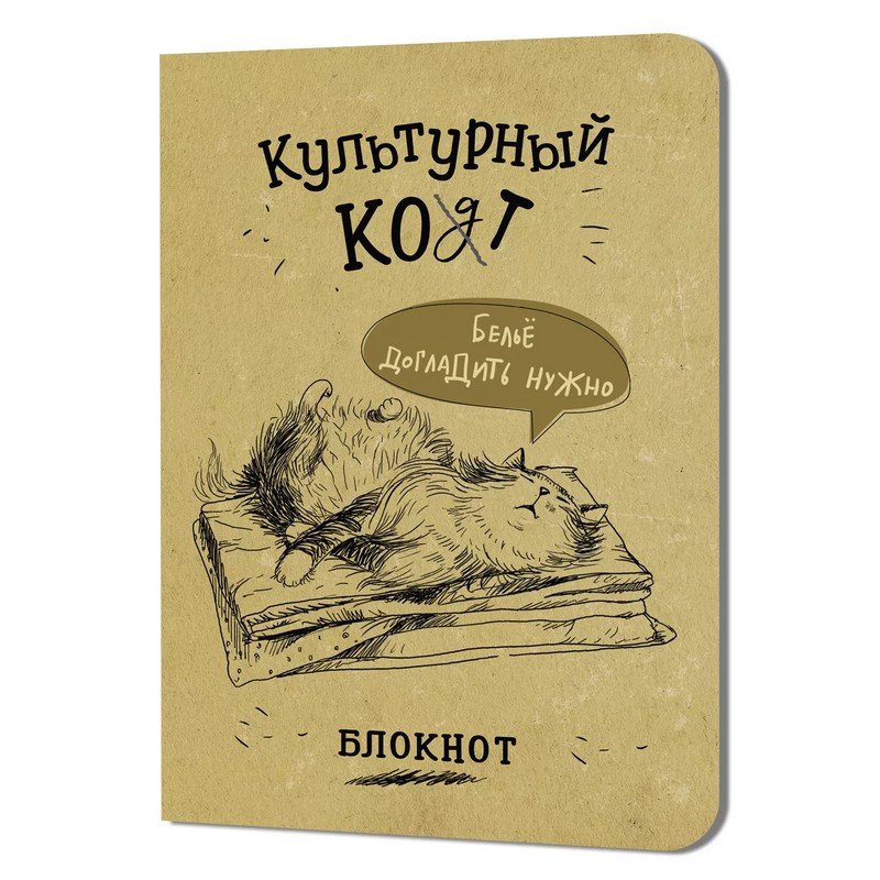 Блокнот 'Культурный кот' (белье догладь)