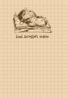 Блокнот 'Культурный кот' (белье догладь) 4