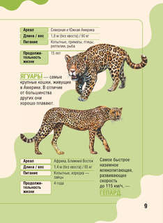 Животные: Детская карманная энциклопедия 11