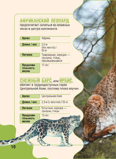 Животные: Детская карманная энциклопедия 12