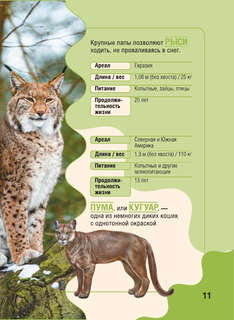 Животные: Детская карманная энциклопедия 13