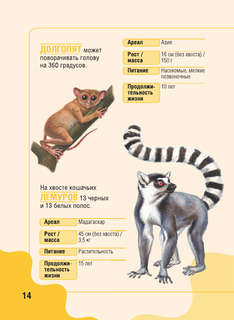 Животные: Детская карманная энциклопедия 16