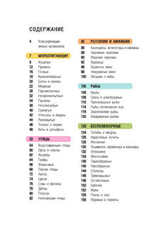 Животные: Детская карманная энциклопедия 5