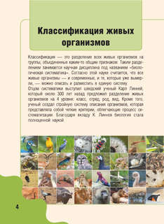 Животные: Детская карманная энциклопедия 6