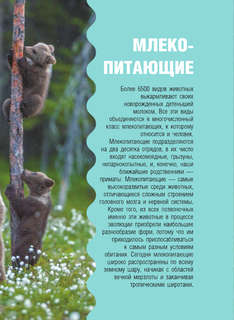 Животные: Детская карманная энциклопедия 9