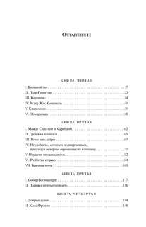 Собор Парижской Богоматери. Подарочное издание 5