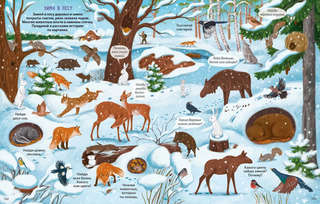 Виммельбух с наклейками. В лесу 2