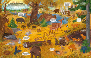 Виммельбух с наклейками. В лесу 3