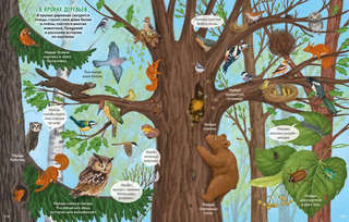 Виммельбух с наклейками. В лесу 4