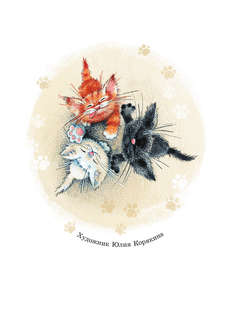 Курочкин котенок 2