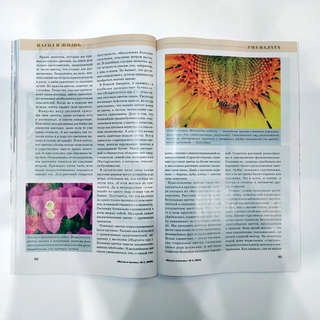 Наука и жизнь №1 (январь 2025) 2