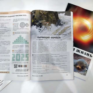 Наука и жизнь №1 (январь 2025) 7