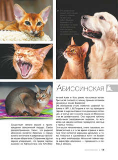 Большая книга о кошках и собаках. 1001 фотография 12