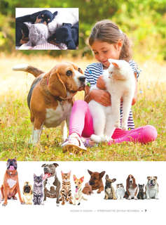 Большая книга о кошках и собаках. 1001 фотография 4