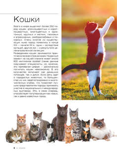 Большая книга о кошках и собаках. 1001 фотография 5