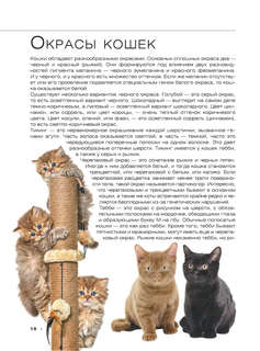 Большая книга о кошках и собаках. 1001 фотография 7