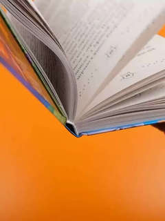 Золотая мышь Мурмяуса 15